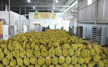 Dự báo xuất khẩu rau quả Việt Nam sẽ tiếp tục thuận lợi