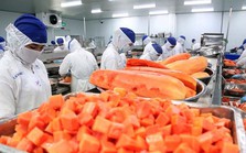 Trung Quốc, Mỹ tăng thu mua rau quả Việt Nam