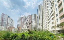 Hàng chục nghìn căn hộ bỏ hoang giữa lúc giá chung cư tăng cao