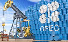 OPEC: 'Loại bỏ dầu mỏ là điều viển vông'