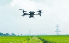 Tăng cường ứng dụng Drone trong nông nghiệp