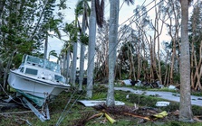 Mỹ: Tránh được "kịch bản tồi tệ nhất", Florida vẫn hoang tàn sau bão Milton