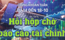 Chứng khoán tuần 14 đến 18-10: Hồi hộp chờ báo cáo tài chính