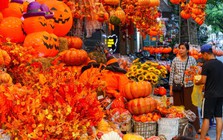 Đồ chơi Halloween ngập tràn, phố cổ Hà Nội trở nên ma mị