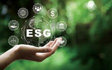 ESG - "chiến lược" hay "chi phí" đối với doanh nghiệp xuất khẩu tại Việt Nam?