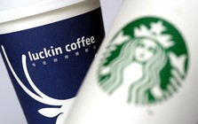 Chuỗi cà phê lớn nhất Trung Quốc thách thức Starbucks trên chính đất Mỹ: Sự hồi sinh 'vĩ đại nhất' của thương hiệu dính bê bối gian lận nhờ những cốc đồ uống 50.000 đồng