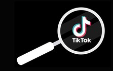 Mẹo tìm kiếm video TikTok cực kỳ đơn giản