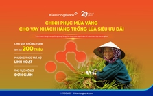 KienlongBank triển khai nguồn vốn vay nhiều ưu đãi cho bà con trồng lúa