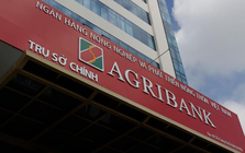 Agribank tăng mạnh lãi suất tiền gửi từ ngày 15/11