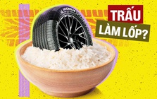 Michelin dùng vỏ trấu làm lốp xe, khách Việt sắp có thêm dòng lốp êm thế hệ mới