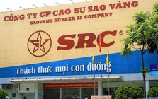 Cao su Sao Vàng bị phạt và truy thu thuế 1,3 tỷ đồng