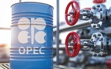 Đòn giáng mạnh vào OPEC+ khi các thành viên vẫn âm thầm tăng sản lượng