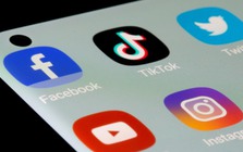 Từ ngày 25/12, Facebook, TikTok và các MXH phải gỡ bỏ thông tin vi phạm trong 24 giờ