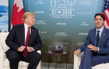 Tổng thống đắc cử Mỹ Donald Trump gặp Thủ tướng Canada sau đe dọa áp thuế