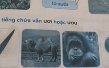 Làm bài tập nhìn hình điền từ, học sinh lớp 1 khiến dân mạng cười ra nước mắt: "Vạn vật đều thua trí tưởng tượng của các em"