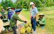 Loại quả 'bán giá nào cũng lãi' quá hot, bầu Đức sắp tăng gấp đôi diện tích trồng, dự kiến bội thu hàng nghìn tỷ đồng