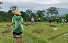 Thanh Hóa: Hiệu quả từ một chương trình phát triển nông thôn bền vững