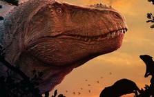 Hóa ra động vật có vú hiện đại bị 'mù màu' đều là do khủng long bạo chúa Tyrannosaurus rex?