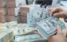 Tỷ giá hôm nay ngày 2/1: USD ngân hàng tăng nhẹ, USD tự do lao dốc