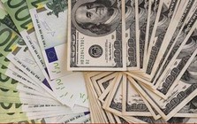 Đồng Euro thấp nhất hai năm so với USD