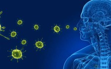 Bộ Y tế thông tin virus gây viêm phổi trên người tại Trung Quốc