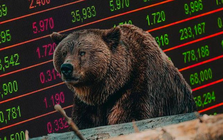 Kịch bản "Bear Market" có thể chi phối thị trường chứng khoán trong năm 2025, nhà đầu tư nên hành động ra sao?