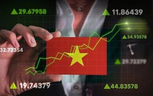 Không chỉ ngân hàng và chứng khoán, đây là nhóm cổ phiếu có thể  Không chỉ ngân hàng và chứng khoán, đây là nhóm cổ phiếu có thể