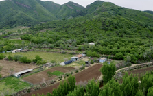 Cặp đôi U50 bỏ phố lên núi, thuê 20.000m² đất hoang để nghỉ hưu, sống “tự cung tự cấp”: “Vất vả chứ không lãng mạn như trên phim”