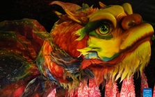 Nổi da gà với cá thần thoại ở Trung Quốc