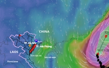 Lý giải đường đi bất thường của bão số 14 Phượng Hoàng