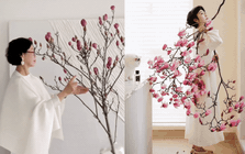 “Cành cây khô” giá bạc triệu khiến hội chị em phát sốt: Mộc lan chơi được cả tháng, nở rộ như tranh nếu biết chăm đúng cách