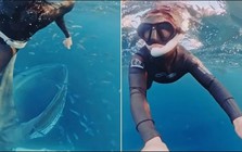 "Thủy quái" khổng lồ bất ngờ lao đến dưới biển sâu: Thợ lặn suýt bị nuốt chửng trong tích tắc