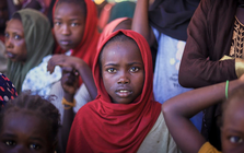 Thực hư những "cánh đồng hãi hùng" ở Sudan?