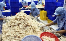 Công ty con của Vĩnh Hoàn muốn huy động gần 465 tỷ đồng để làm gì?