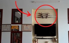 Ông bà dặn "trước sân không trồng 3 cây, trong nhà không treo 3 vật" - Chớ dại mà làm ngược