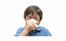 Virus H3N2 đột biến có thể làm bùng phát dịch cúm tại châu Á