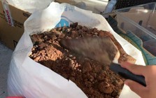 Loại bã đồ uống ai cũng bỏ đi lại là "bảo bối" của chuyên gia: Đặt 1 nắm vào góc nhà sẽ thấy thay đổi ngay