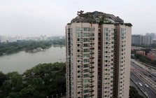 "Độ" penthouse thành “biệt thự cổ quái” 740 m² trên nóc chung cư 26 tầng, người đàn ông bị cơ quan chức năng ra quyết định cưỡng chế: “Phải dỡ bỏ trong 15 ngày”