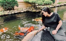 Nữ ca sĩ có hôn nhân ồn ào nhất nhì showbiz: Ở biệt thự 600 m2 tại Mỹ, giàu có, sống an nhiên sau sóng gió