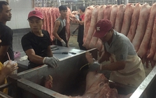 Giá heo cuối năm khó tăng đột biến