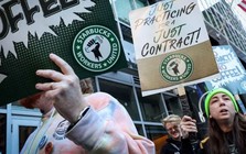Nhân viên Starbucks đồng loạt đình công vì kiệt sức, 65 cửa hàng 'đóng băng' đúng mùa lễ hội