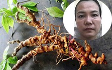 Bắt tạm giam Trương Thị An