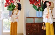 Hoa dong riềng bỗng hot: Loài hoa tưởng bị "ra rìa" nay gây sốt vì đẹp sang bất ngờ, nở rực ba mùa trong năm, trồng phát lên luôn