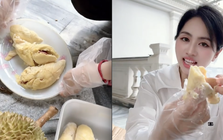 Số phận vườn sầu riêng nhà Mailisa