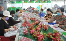 Quy định mới về truy xuất sản phẩm của Trung Quốc tác động gì tới hàng Việt?