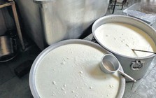 Đột kích một nhà máy lúc 9 giờ tối, công an triệt phá đường dây sản xuất sữa giả từ hóa chất, tịch thu dầu thực vật, sorbitol và máy pha trộn công nghiệp