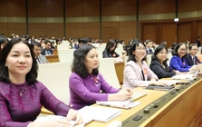 Chi tiết hướng dẫn về công tác nhân sự đại biểu Quốc hội và HĐND khóa mới