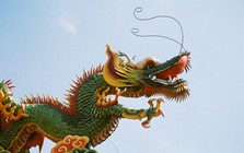 Tháng 10 Âm lịch có 4 con giáp "trúng đậm", thăng hoa cả tiền tài lẫn sự nghiệp, may mắn không đếm xuể