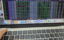 Ngắt mạch giảm sâu, chứng khoán liệu có phiên bùng nổ tuần tới?