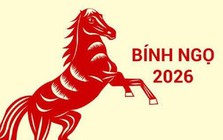 Năm Bính Ngọ 3 con giáp có quý nhân tương trợ, tài lộc rực rỡ, cần tận dụng cơ hội tốt để làm giàu